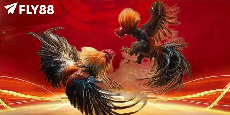 Đá Gà Cựa Sắt